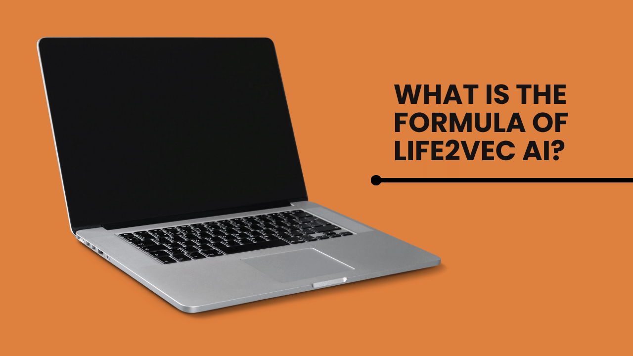 What Is The Formula Of Life2vec AI?